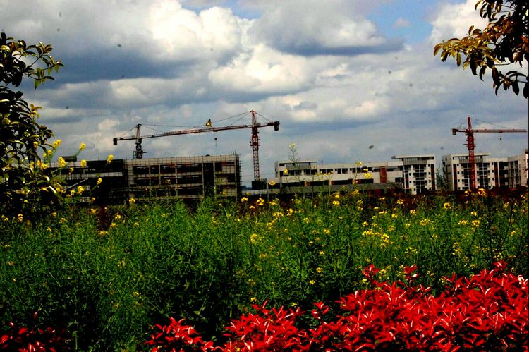 即将竣工的新校区.jpg